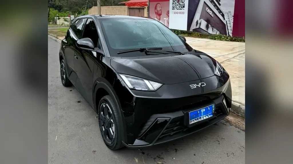 Foto de um byd dolphin mini