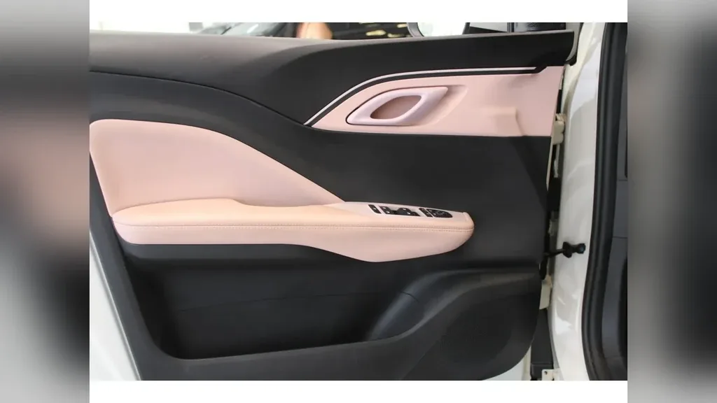 BYD Dolphin Plus - Imagem 6