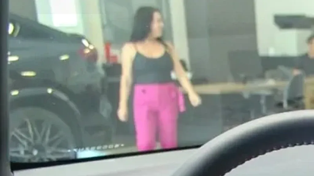 BYD Dolphin Plus - Imagem 7