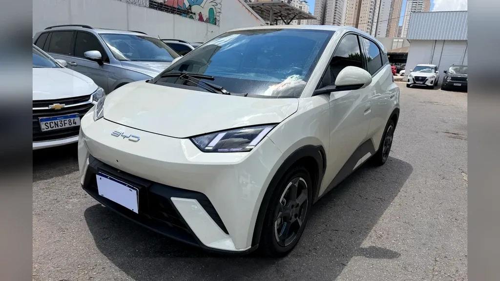 Foto de um byd dolphin mini