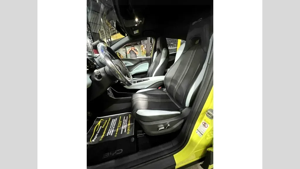 BYD Dolphin Mini - Imagem 9