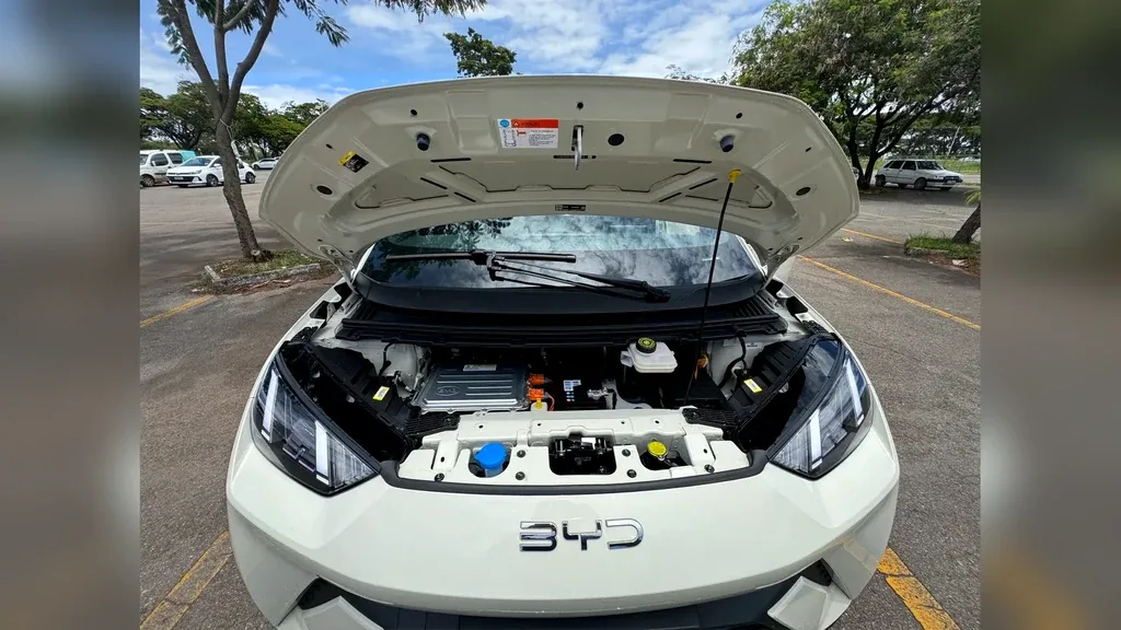 BYD Dolphin Mini - Imagem 16