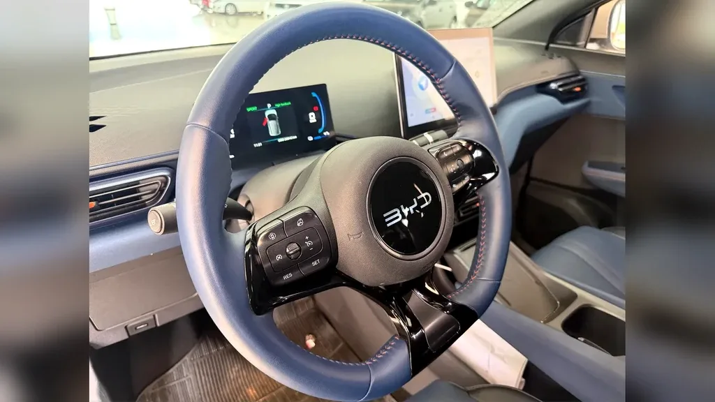 BYD Dolphin Mini - Imagem 15