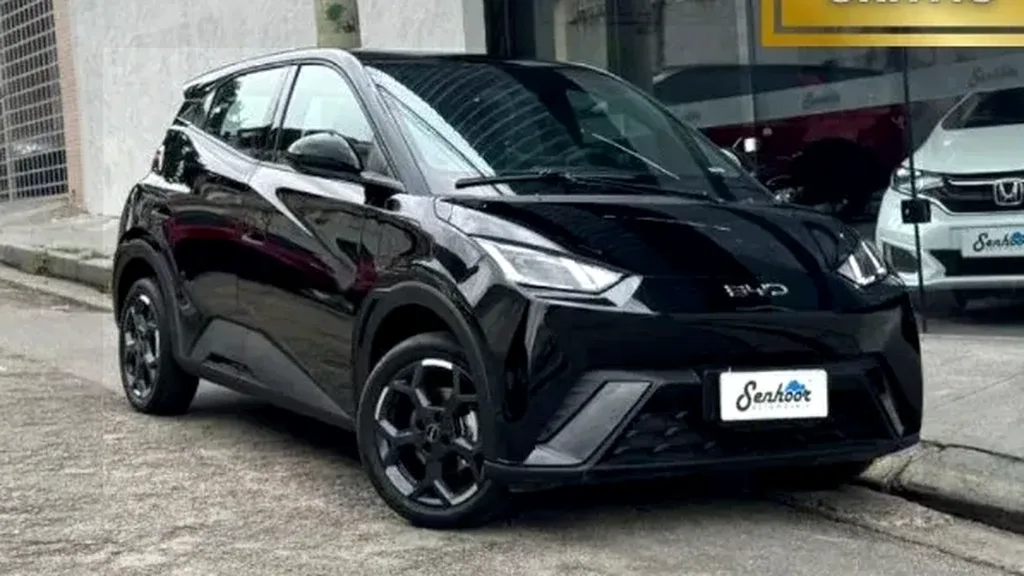 Foto de um byd dolphin mini