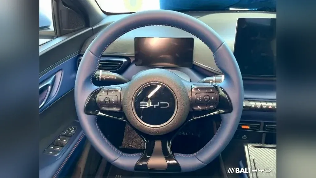 BYD Dolphin Mini - Imagem 6