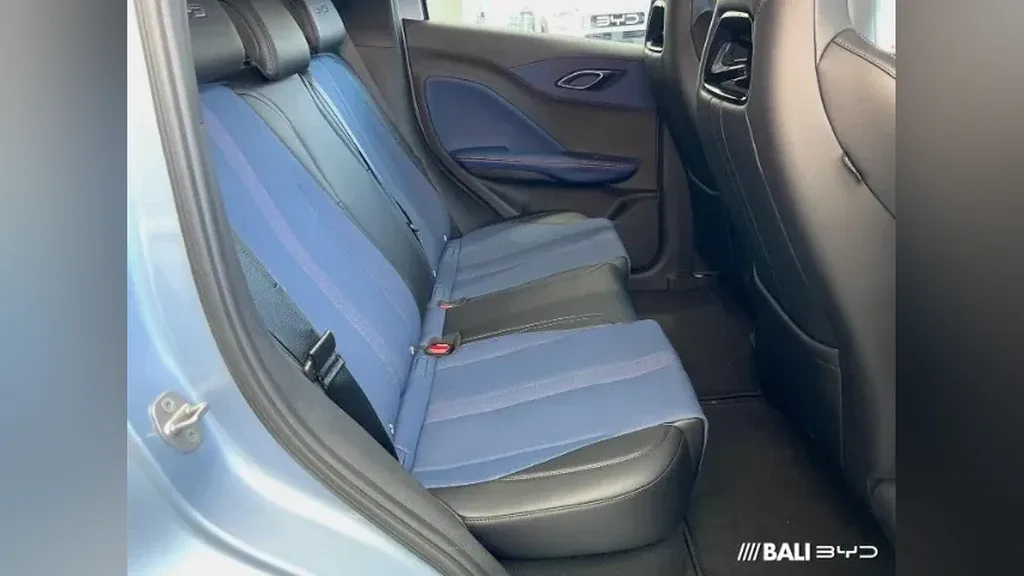 BYD Dolphin Mini - Imagem 10