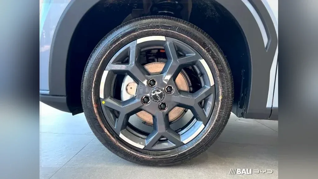 BYD Dolphin Mini - Imagem 12