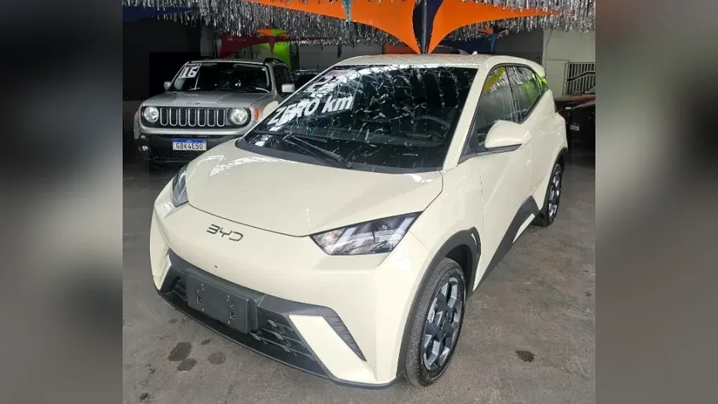 Foto de um byd dolphin mini