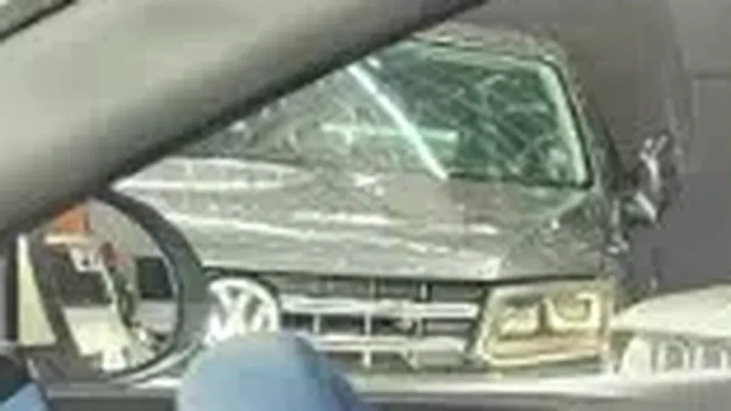 BYD Dolphin Mini - Imagem 9