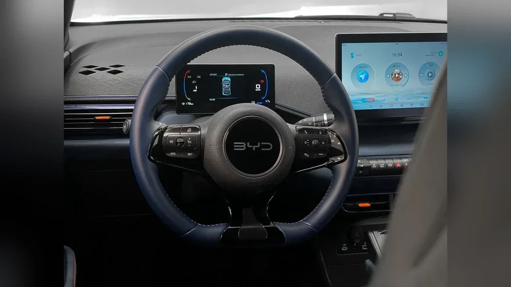 BYD Dolphin Mini - Imagem 18