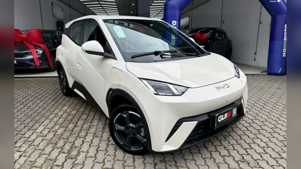 Foto de um byd dolphin mini