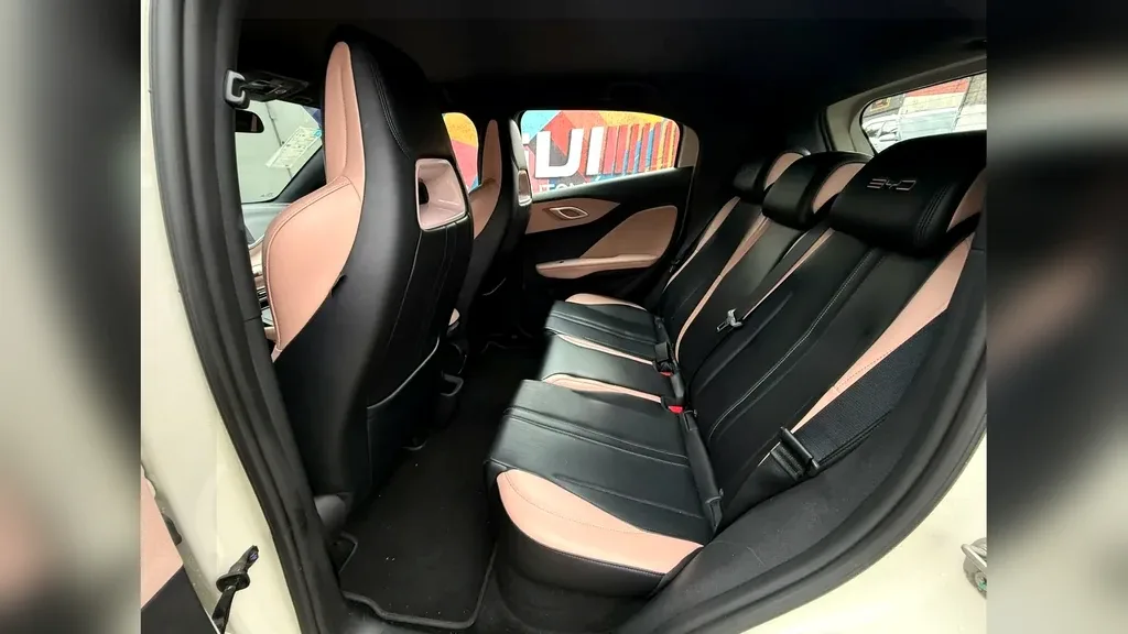 BYD Dolphin Mini - Imagem 11