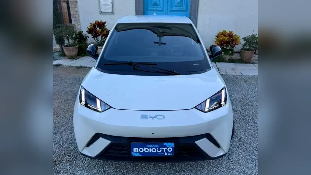 Foto de um byd dolphin