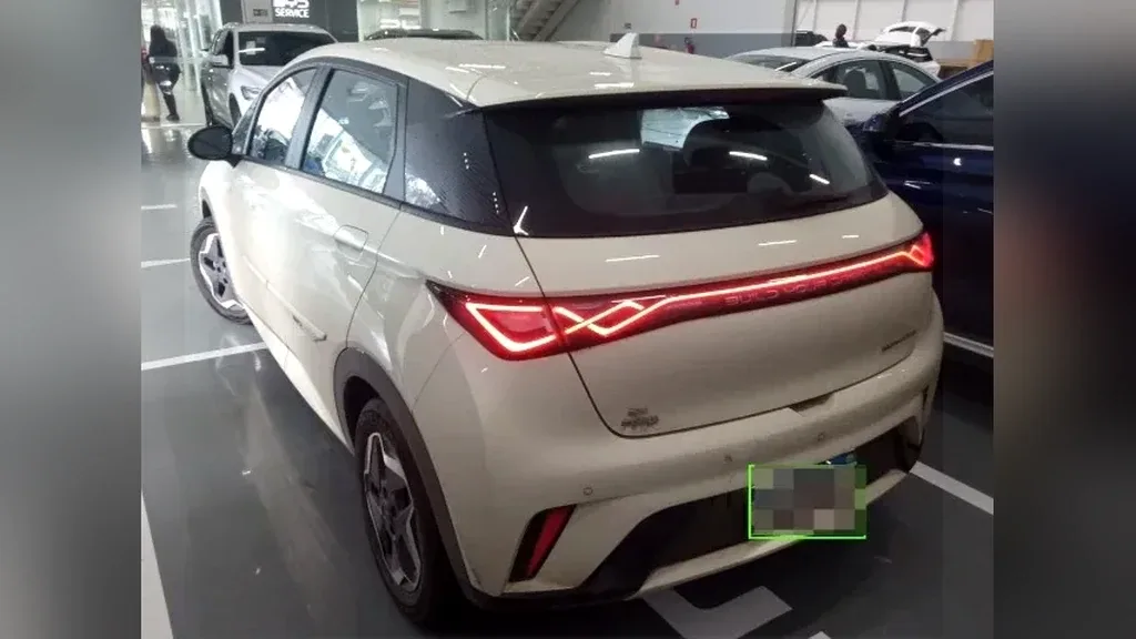 Foto de um byd dolphin