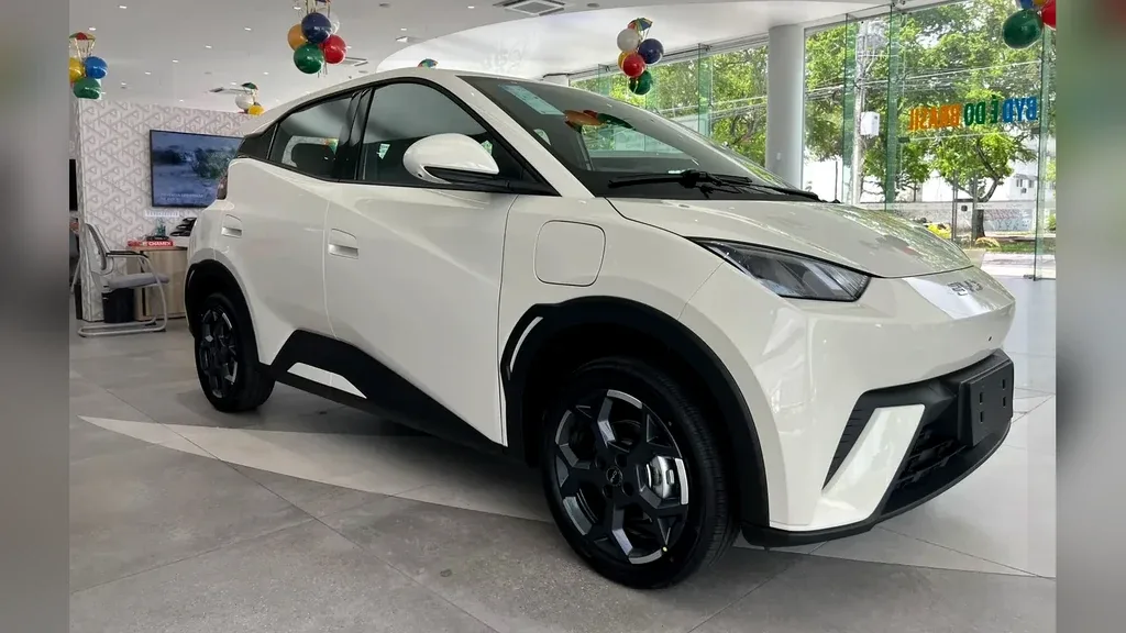 Foto de um byd dolphin mini