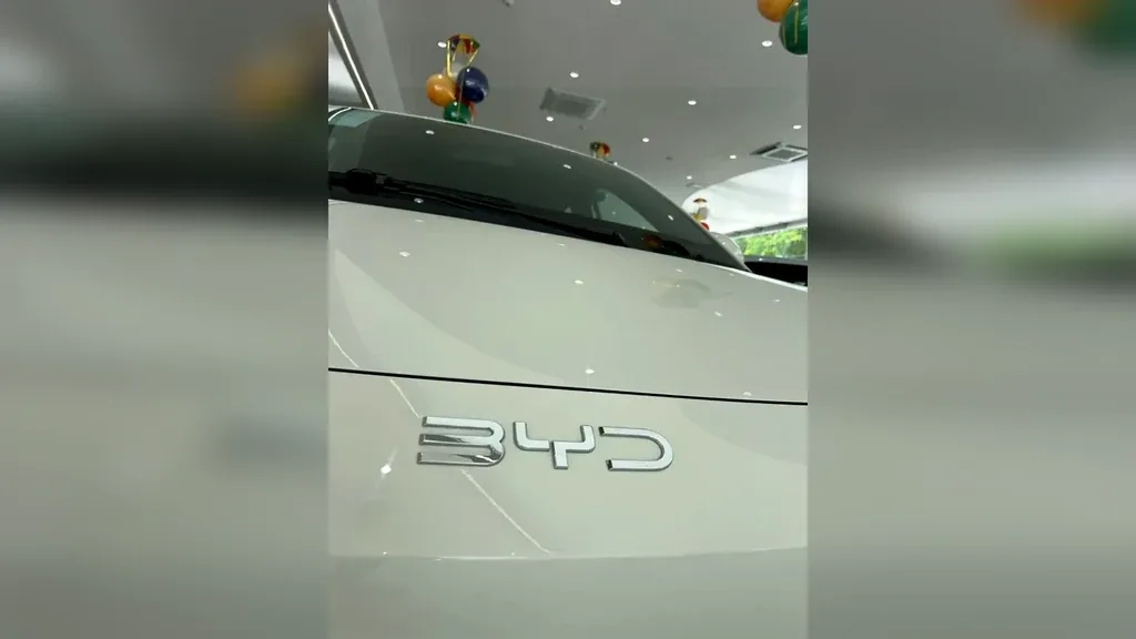 BYD Dolphin Mini - Imagem 4