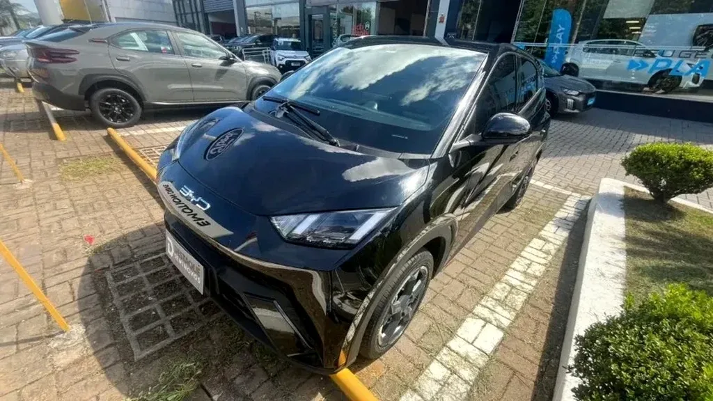 Foto de um byd dolphin mini