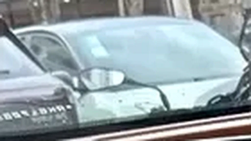 GWM Ora 03 - Imagem 18