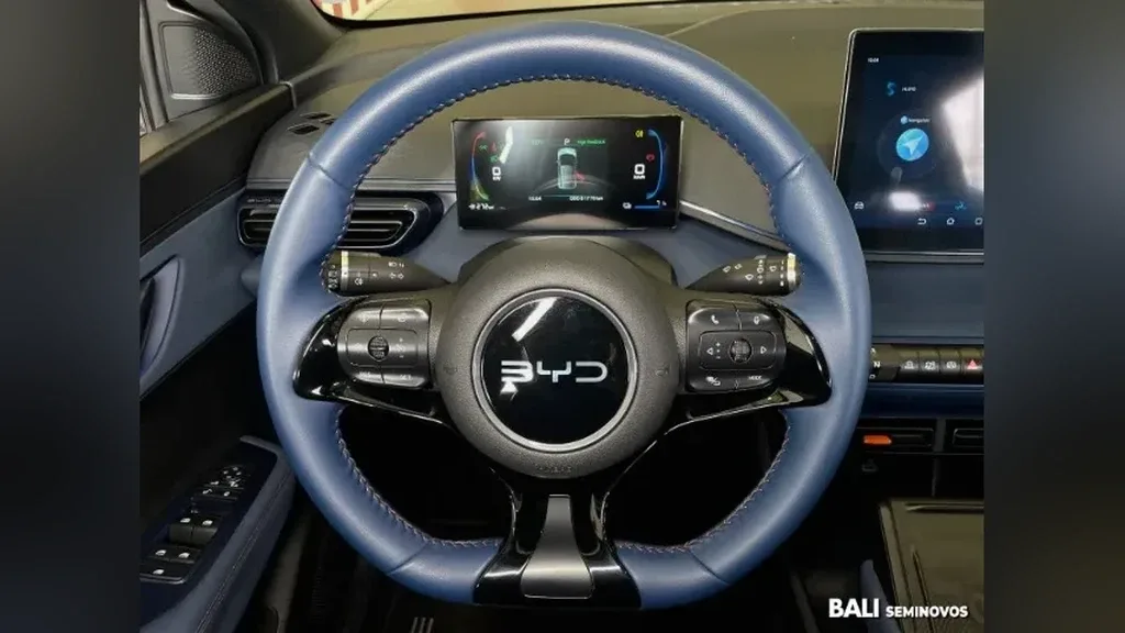 BYD Dolphin Mini - Imagem 13