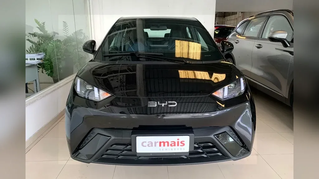 Foto de um byd dolphin mini