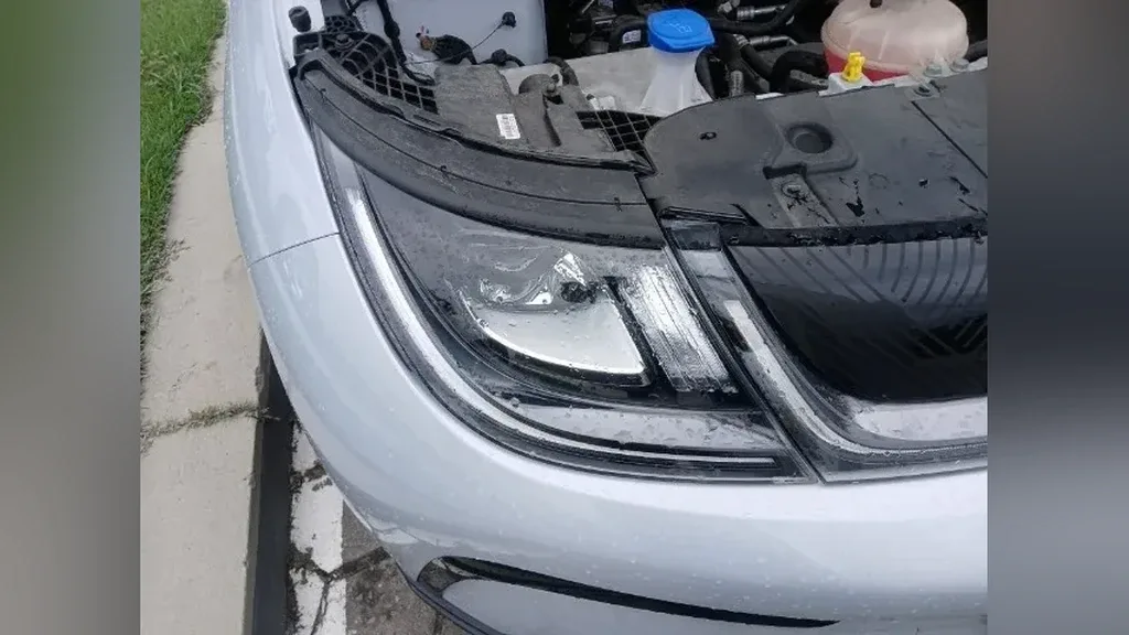 BYD Dolphin Plus - Imagem 2