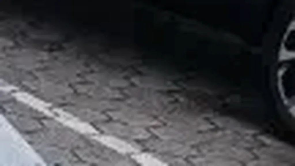 BYD Dolphin Plus - Imagem 6