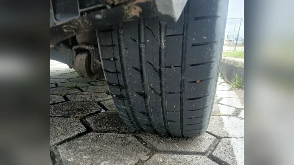 BYD Dolphin Plus - Imagem 14