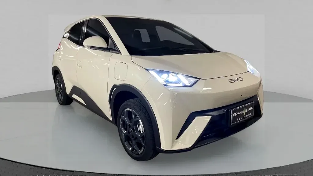 Foto de um byd dolphin mini