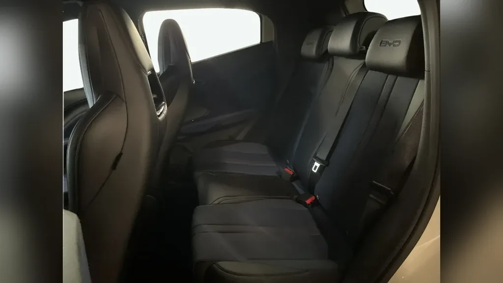 BYD Dolphin Mini - Imagem 11