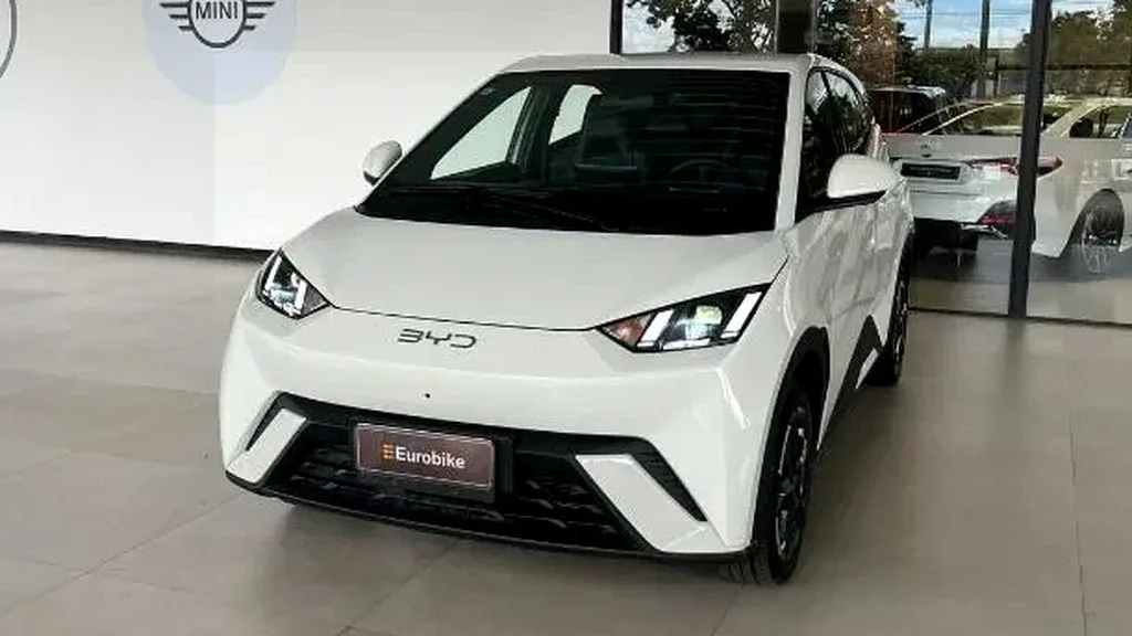 Foto de um byd dolphin mini