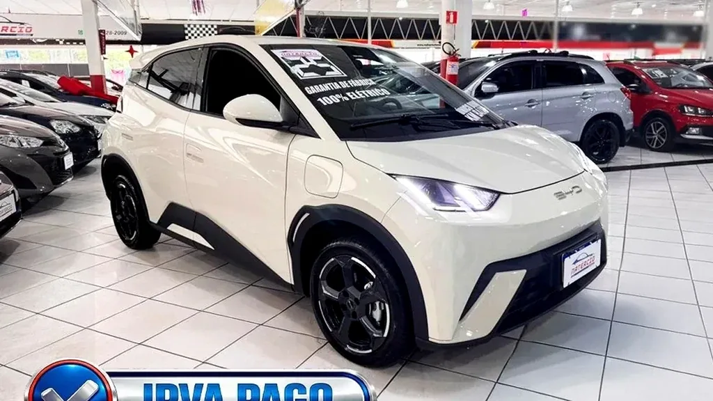 Foto de um byd dolphin mini