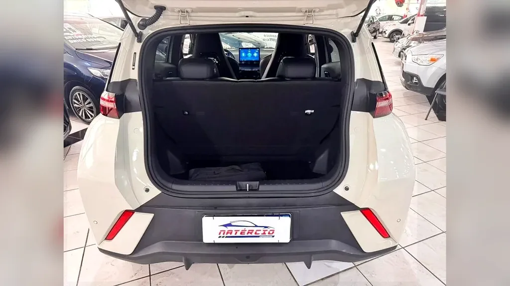 BYD Dolphin Mini - Imagem 11