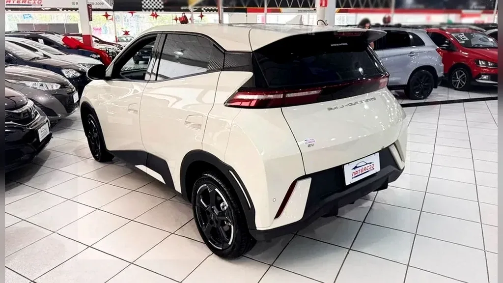 BYD Dolphin Mini - Imagem 12