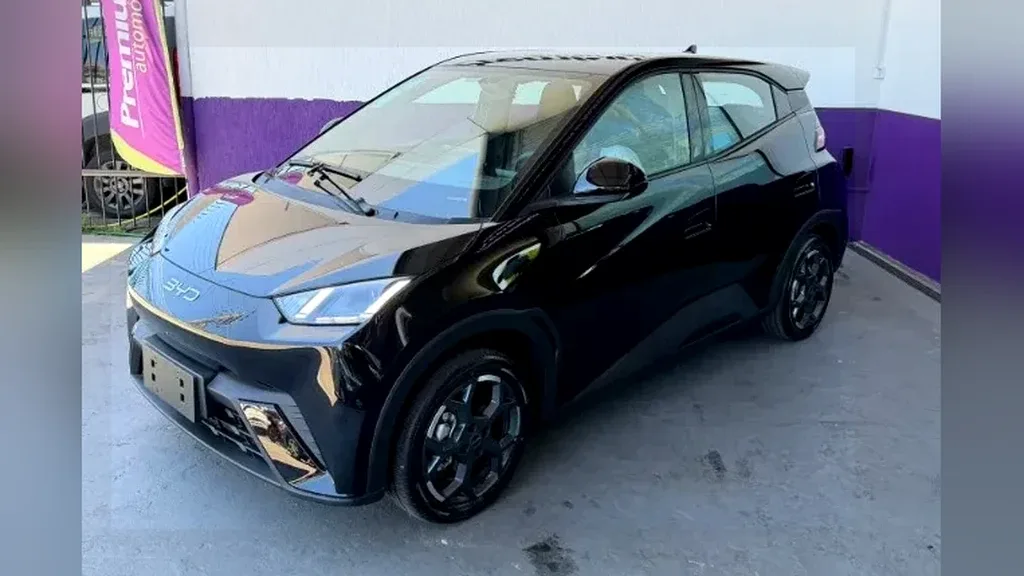 Foto de um byd dolphin