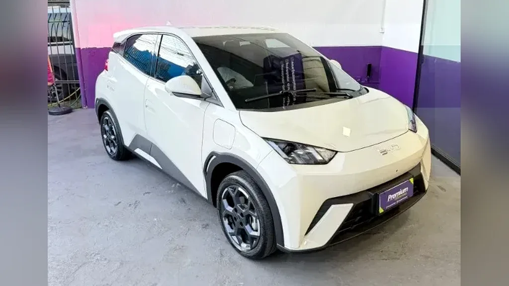 Foto de um byd dolphin mini