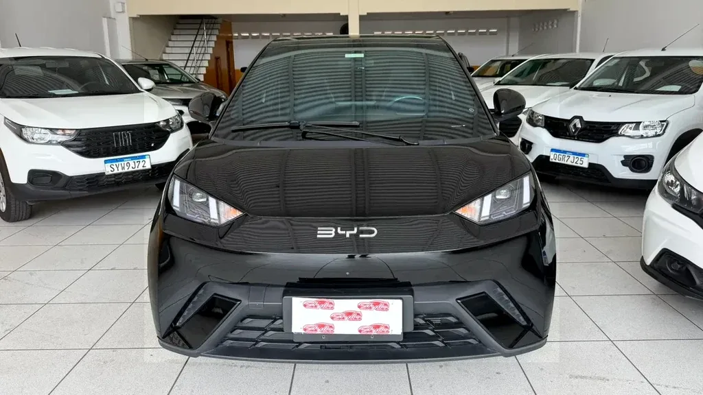 Foto de um byd dolphin mini