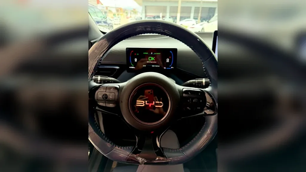 BYD Dolphin Mini - Imagem 7