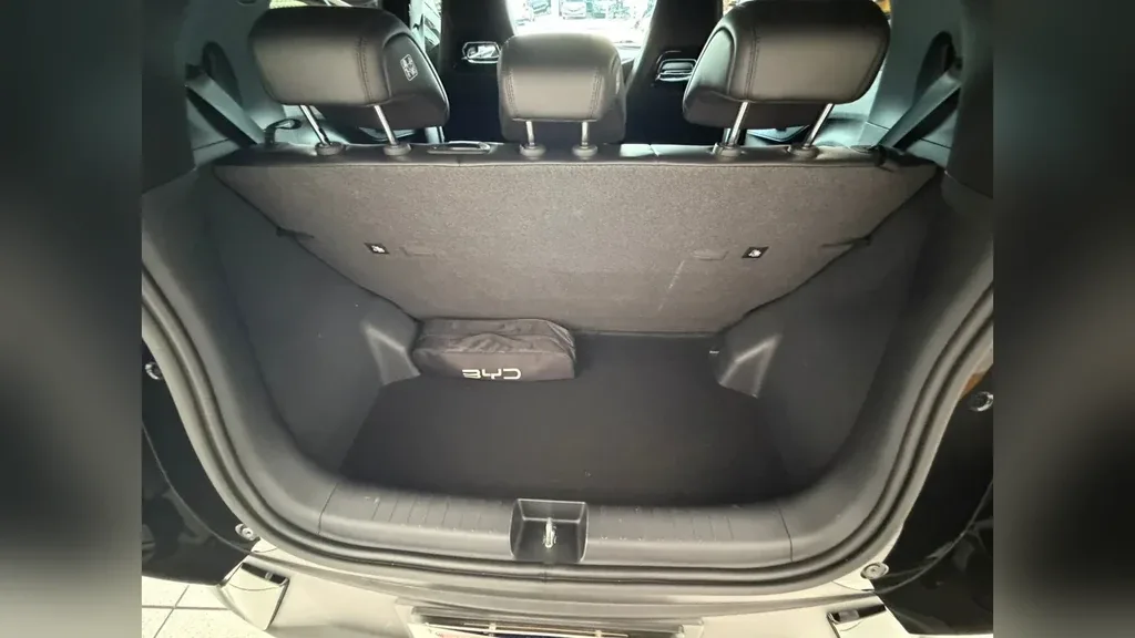 BYD Dolphin Mini - Imagem 16