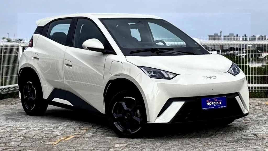 Foto de um byd dolphin mini