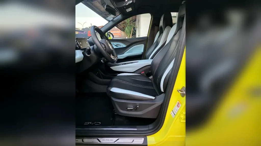 BYD Dolphin Mini - Imagem 12