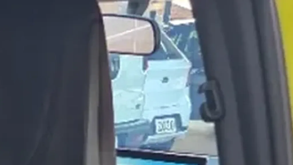 BYD Dolphin Mini - Imagem 14