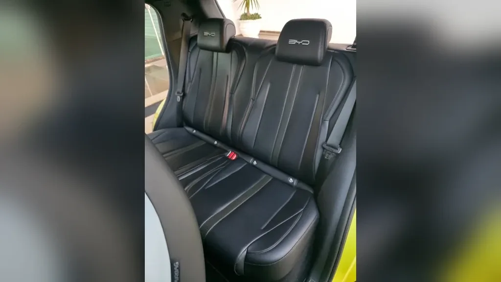 BYD Dolphin Mini - Imagem 16