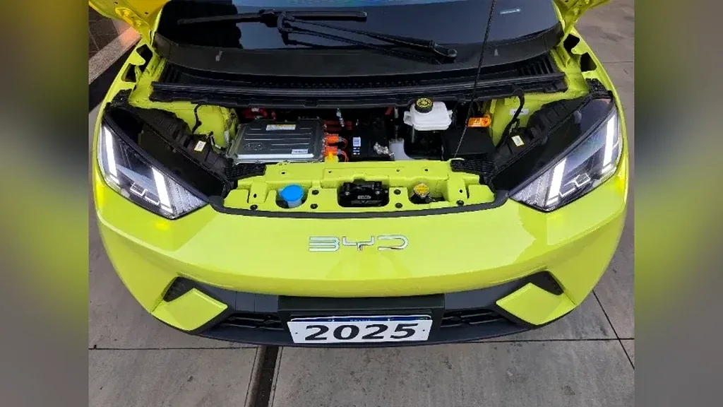 BYD Dolphin Mini - Imagem 19