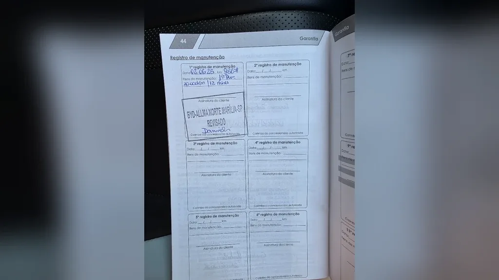 BYD Dolphin Mini - Imagem 20