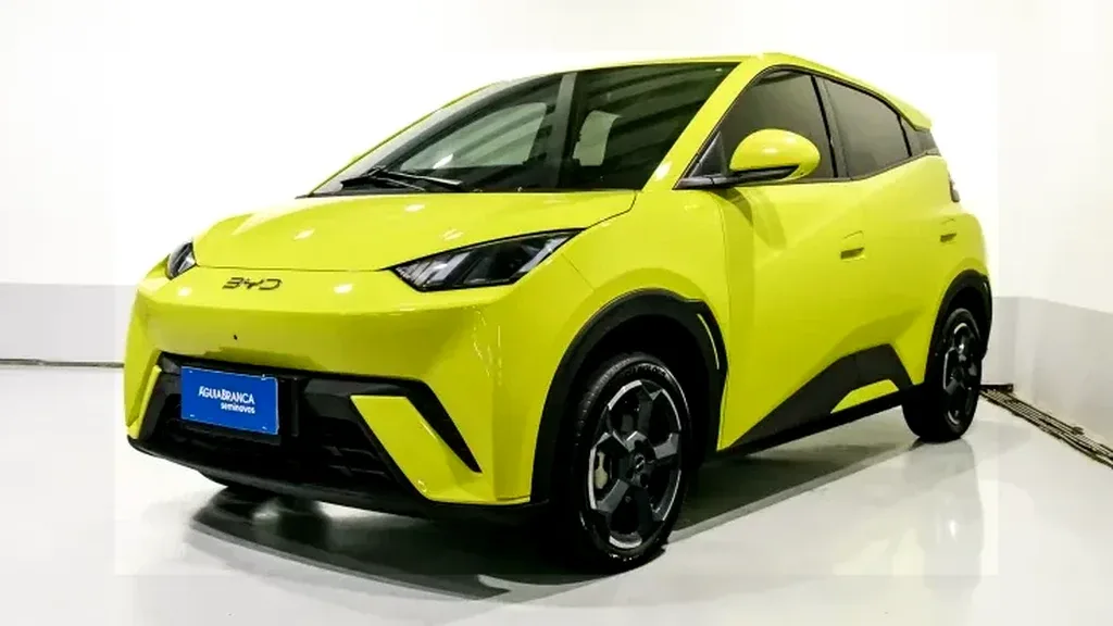 Foto de um byd dolphin mini