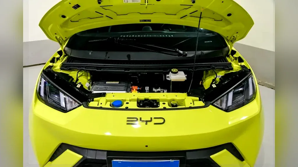 BYD Dolphin Mini - Imagem 6