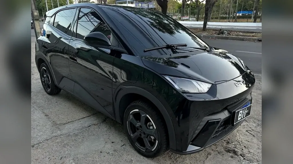 Foto de um byd dolphin mini