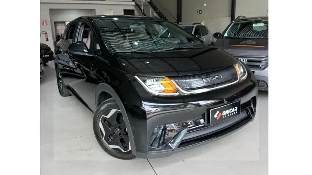 Foto de um byd dolphin