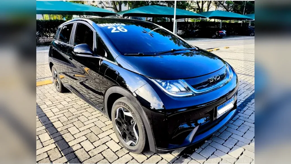 Foto de um byd dolphin