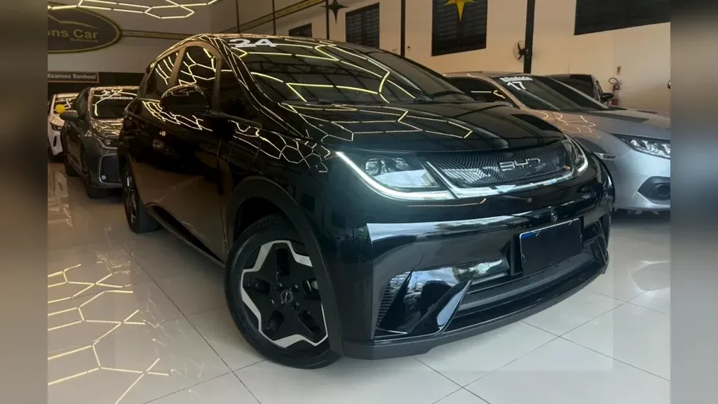 Foto de um byd dolphin